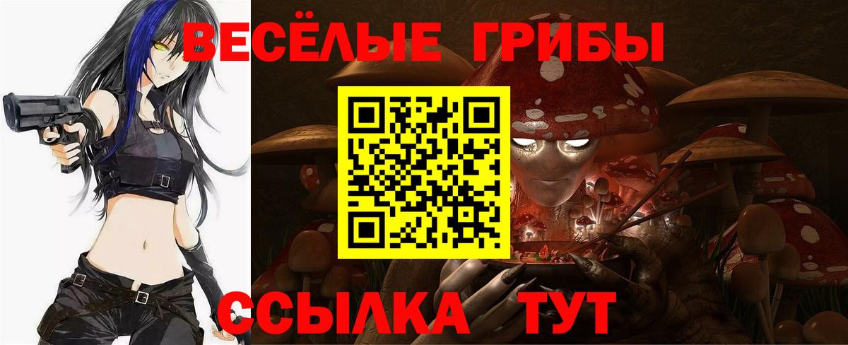 Галлюциногенные грибы ЛСД  Вход с VPN  Гудермес  Псилоцибиновые грибы Cubensis 