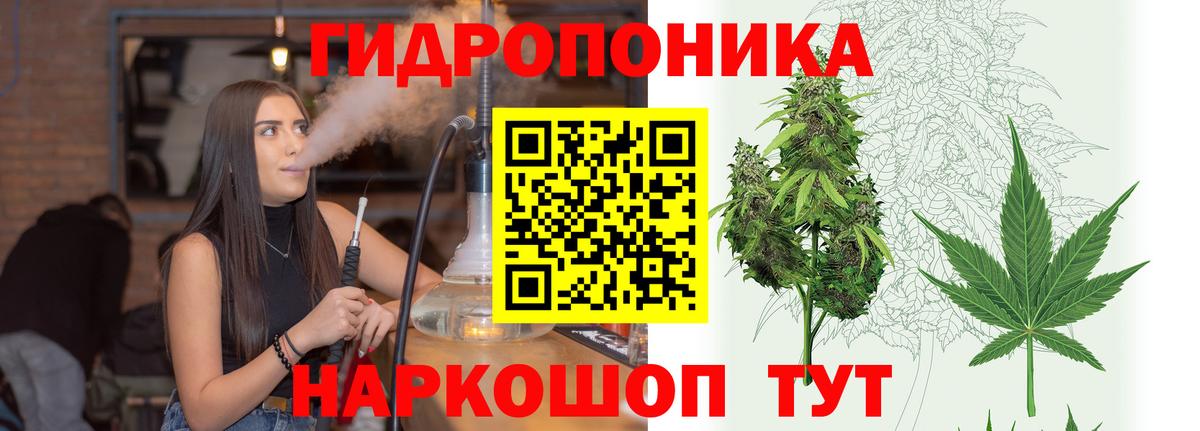 Канабис SATIVA & INDICA Гудермес