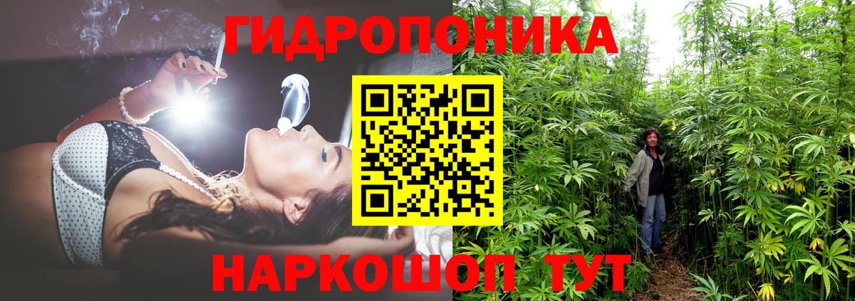 Гудермес  Бошки Шишки VHQ  Вход с VPN  Бошки Шишки семена 